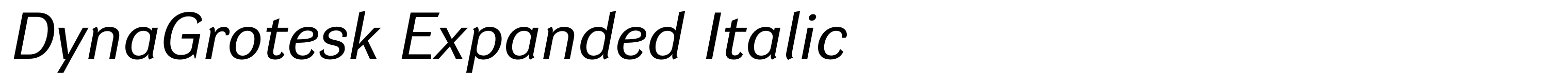 DynaGrotesk Expanded Italic